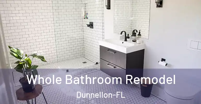 inner Bathroom imggen Whole Bathroom Remodel Dunnellon-FL