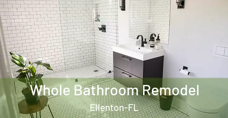 inner Bathroom imggen Whole Bathroom Remodel Ellenton-FL