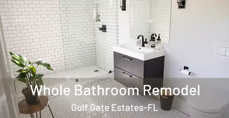 inner Bathroom imggen Whole Bathroom Remodel Gulf Gate Estates-FL