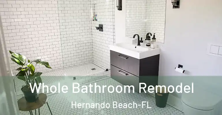 inner Bathroom imggen Whole Bathroom Remodel Hernando Beach-FL