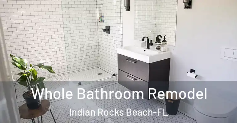 inner Bathroom imggen Whole Bathroom Remodel Indian Rocks Beach-FL