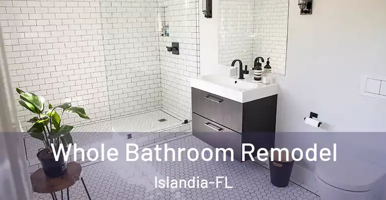 inner Bathroom imggen Whole Bathroom Remodel Islandia-FL