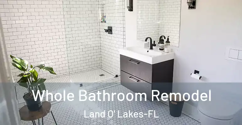 inner Bathroom imggen Whole Bathroom Remodel Land O' Lakes-FL