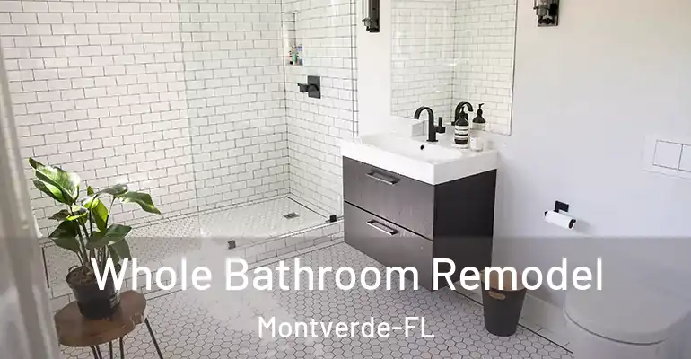 inner Bathroom imggen Whole Bathroom Remodel Montverde-FL
