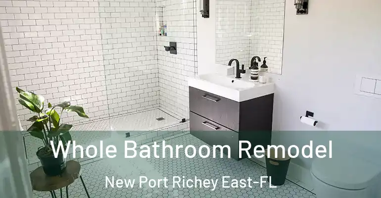 inner Bathroom imggen Whole Bathroom Remodel New Port Richey East-FL