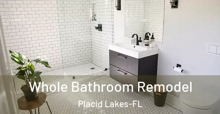 inner Bathroom imggen Whole Bathroom Remodel Placid Lakes-FL