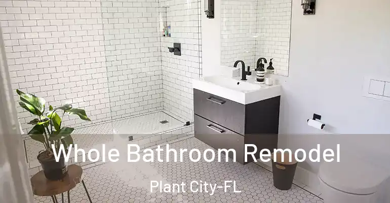 inner Bathroom imggen Whole Bathroom Remodel Plant City-FL