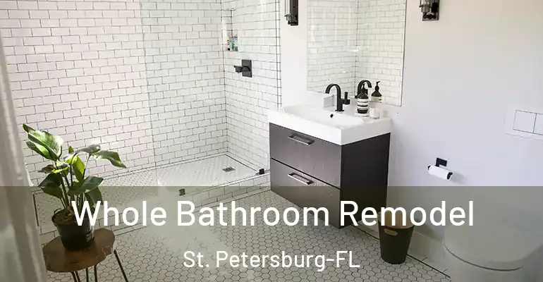 inner Bathroom imggen Whole Bathroom Remodel St. Petersburg-FL