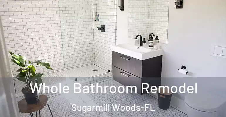 inner Bathroom imggen Whole Bathroom Remodel Sugarmill Woods-FL