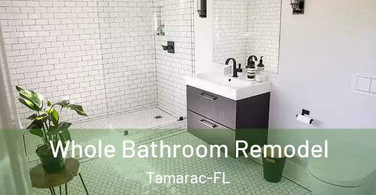 inner Bathroom imggen Whole Bathroom Remodel Tamarac-FL