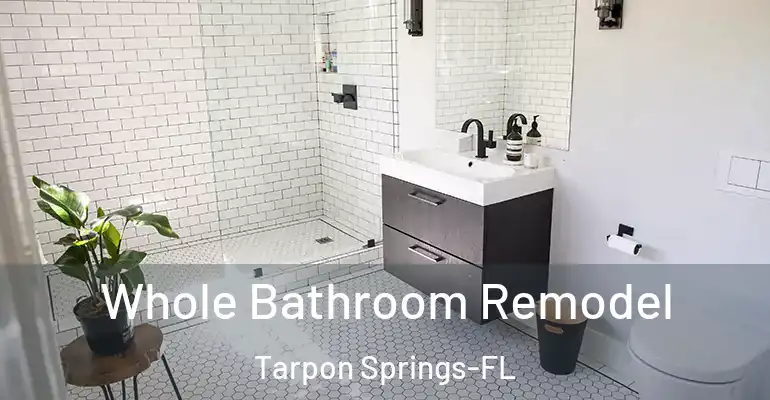 inner Bathroom imggen Whole Bathroom Remodel Tarpon Springs-FL