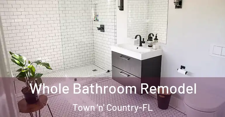 inner Bathroom imggen Whole Bathroom Remodel Town 'n' Country-FL