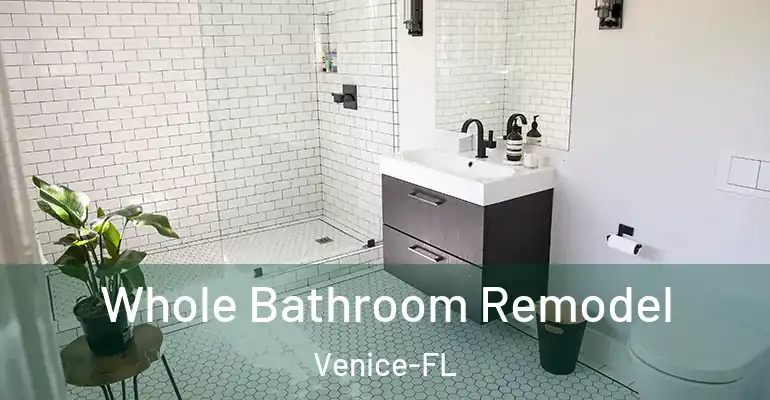 inner Bathroom imggen Whole Bathroom Remodel Venice-FL