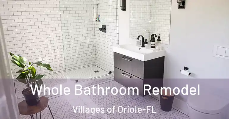 inner Bathroom imggen Whole Bathroom Remodel Villages of Oriole-FL