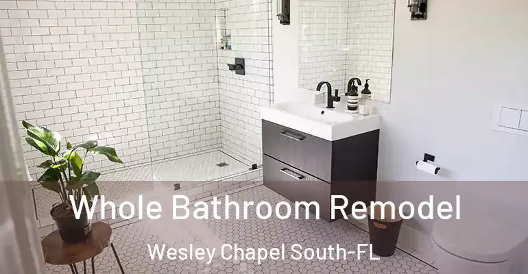 inner Bathroom imggen Whole Bathroom Remodel Wesley Chapel South-FL