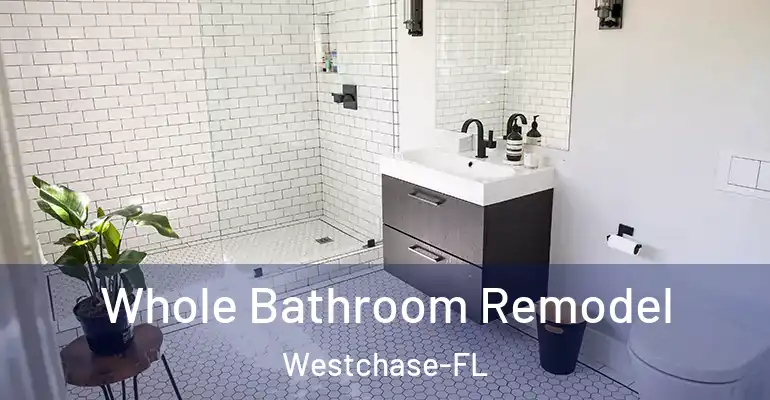 inner Bathroom imggen Whole Bathroom Remodel Westchase-FL