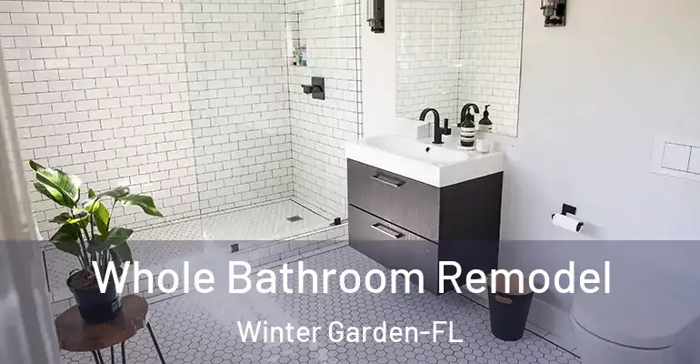 inner Bathroom imggen Whole Bathroom Remodel Winter Garden-FL