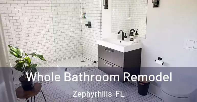 inner Bathroom imggen Whole Bathroom Remodel Zephyrhills-FL